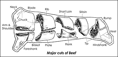 Major cuts of beef
